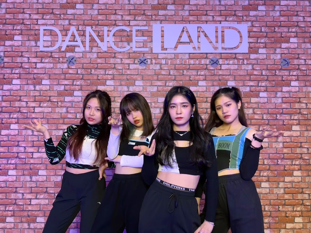 DANCELAND DANCE STUDIO